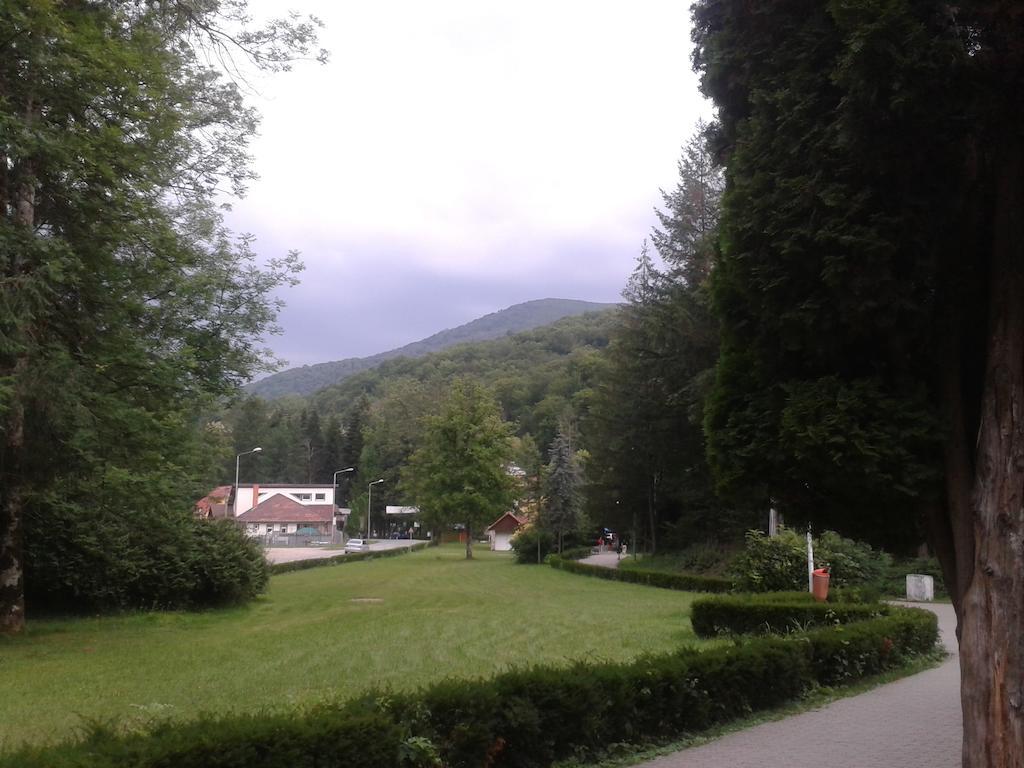 Hotel Santana-Neoklinik Moneasa Zewnętrze zdjęcie